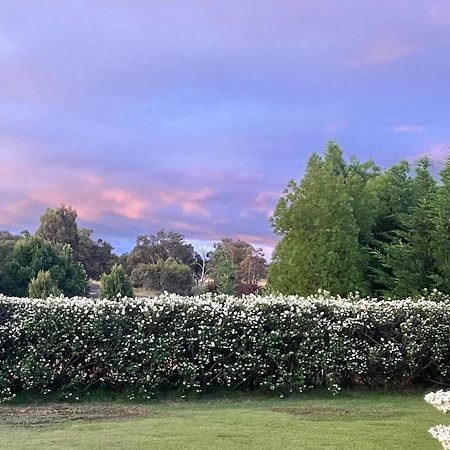 Mudgee Guesthouse Exterior photo