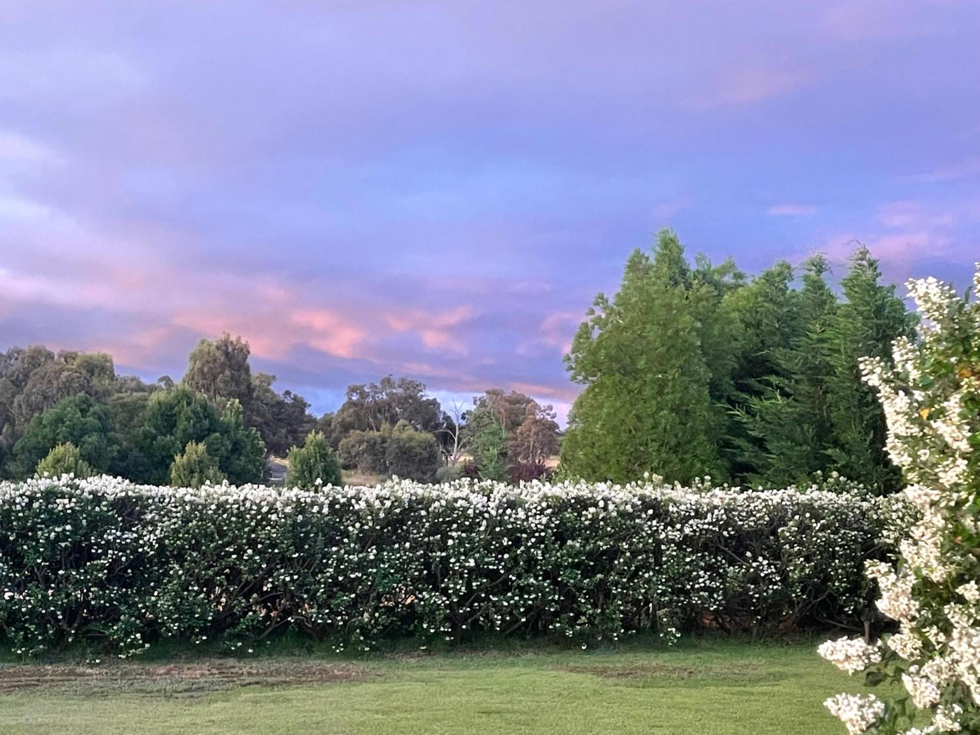 Mudgee Guesthouse Exterior photo